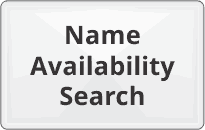 Company name availability search